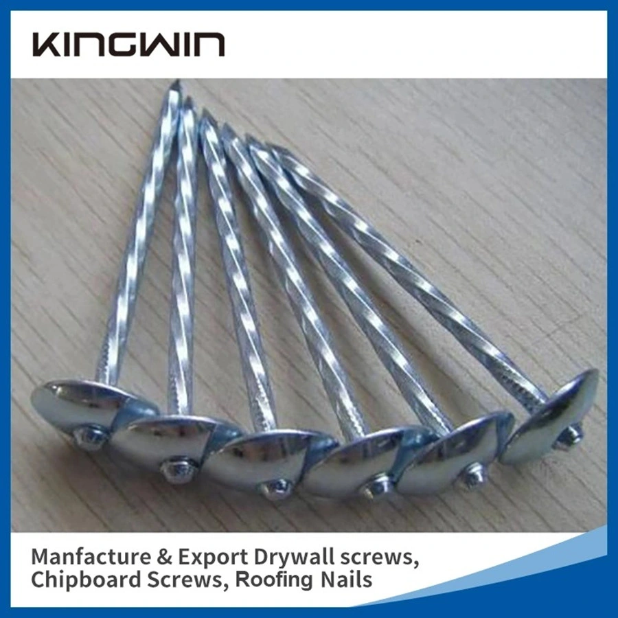 Wholesale Galvanized Smooth / Twisted Shank 2.5" 2" 12bwg 7lbs 8boxes 3.125kg / Box Umbrella Head Roofing Concrete Common Water Pipe Nails